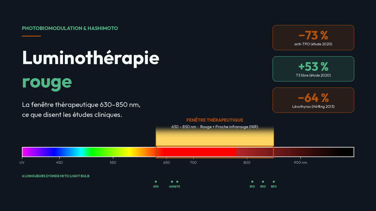 Luminothérapie rouge et Hashimoto — spectre lumineux fenêtre thérapeutique 630-850 nm.